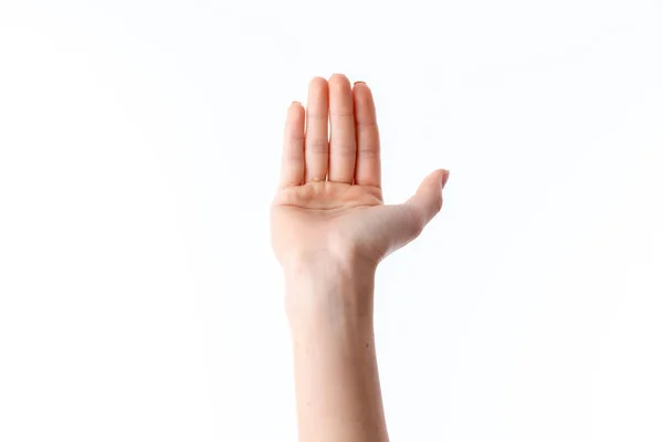 Mano femenina con los dedos levantados y desplegados hacia adelante palma — Foto de Stock