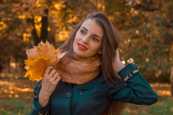 Bella ragazza che tiene una caduta foglie e guarda verso primo piano — Foto Stock