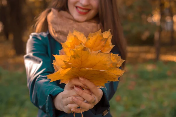 Молодая девушка с красными губами, вытянутыми в руках осенних листьев крупным планом — стоковое фото