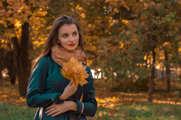 Młoda dziewczyna z szalikiem i liści w ręku warto jesienią Park — Zdjęcie stockowe