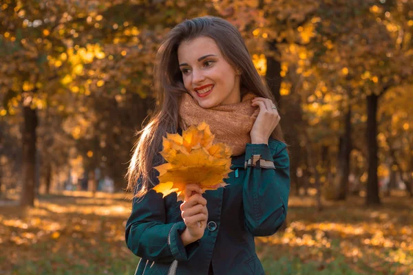 Fröhliches junges Mädchen im Herbst im Park hält das Laub in der Hand schaut weg und lacht — Stockfoto