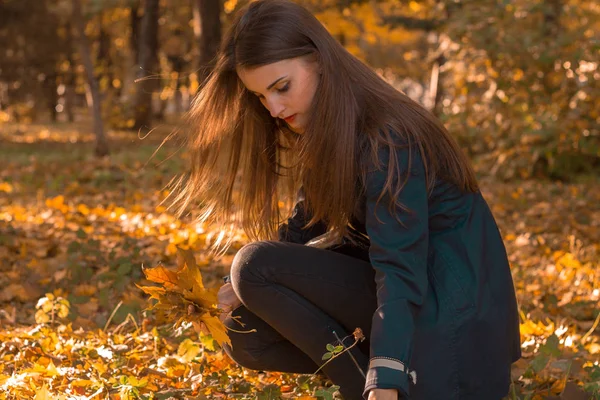秋公園の葉の間で芝生の上に座って長い髪の少女 — ストック写真