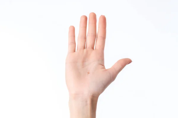 Γυναικείο χέρι υψωμένο επάνω με μια ladoshkoj προς τα εμπρός που απομονώνονται σε λευκό φόντο — Φωτογραφία Αρχείου