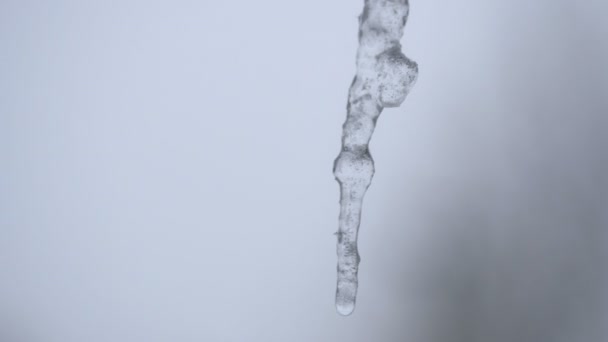 特写的冰凌融化，水滴滴落 timelaps — 图库视频影像