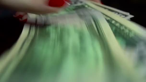 Jonge bedrijf meisje met pack van geld in handen — Stockvideo