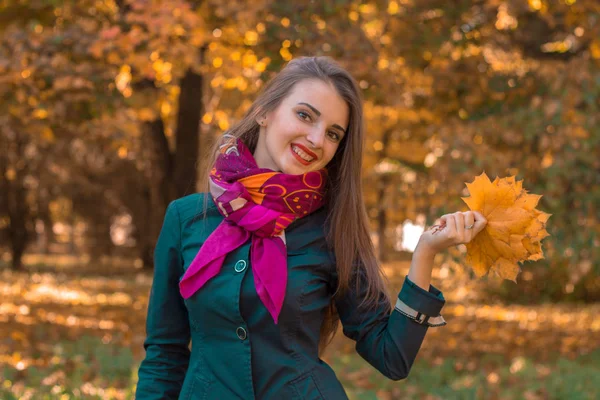 Bonito jovem menina em um lenço rosa em torno de seu pescoço fica no outono parque e mantém as folhas na mão — Fotografia de Stock