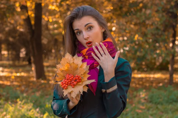 Funny young girl stands in the Park holding leaves in his hand and stares into the camera — Stock Photo, Image