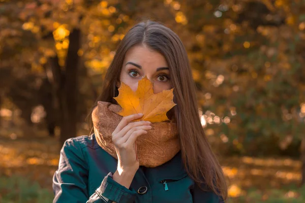 Uma jovem no cachecol quente fica no parque e segura o lençol perto do nariz — Fotografia de Stock