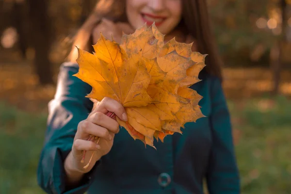 Jovem menina estendeu uma mão com folhas de outono close-up — Fotografia de Stock