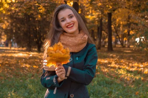 Joven chica alegre en una bufanda caliente en el cuello sostiene las hojas y sonríe — Foto de Stock