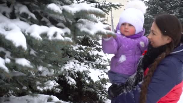 Mãe brincando com sua filha ao ar livre no inverno e agita a neve das árvores — Vídeo de Stock