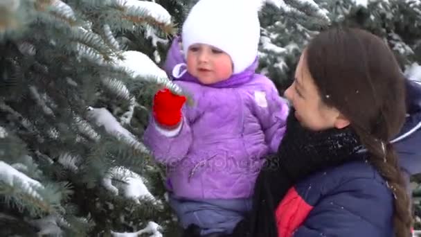 Joven madre jugando con su hija al aire libre en invierno y sacude la nieve de los árboles — Vídeos de Stock