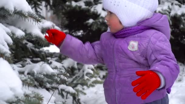 Cutie meisje schudt sneeuw uit de bomen en glimlachend op camera buiten — Stockvideo