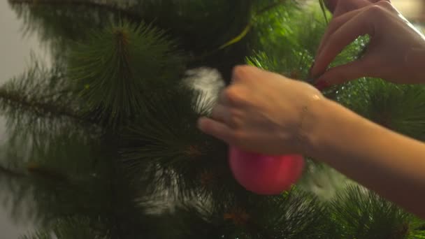 Дівчина прикрашає ялинку і висить на гілці рожевий м'яч — стокове відео