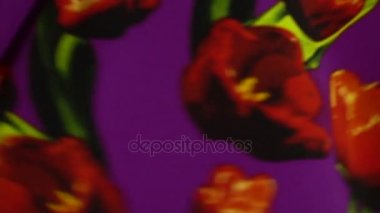 çiçek desenli bir kumaş dokusuna ağır çekimde hareket eder.