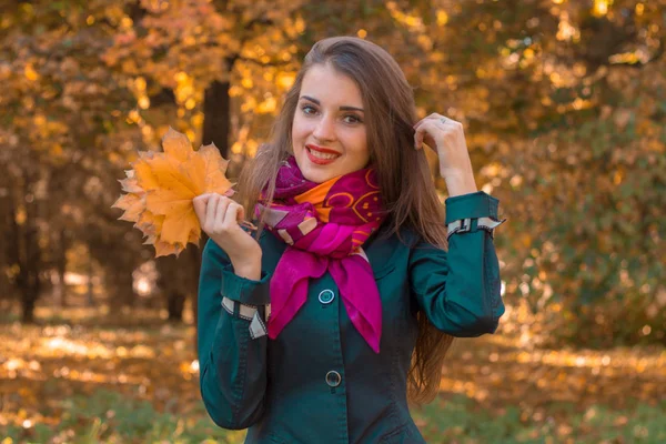 Bela menina sorridente em um lenço rosa fica no parque e mantém as folhas — Fotografia de Stock