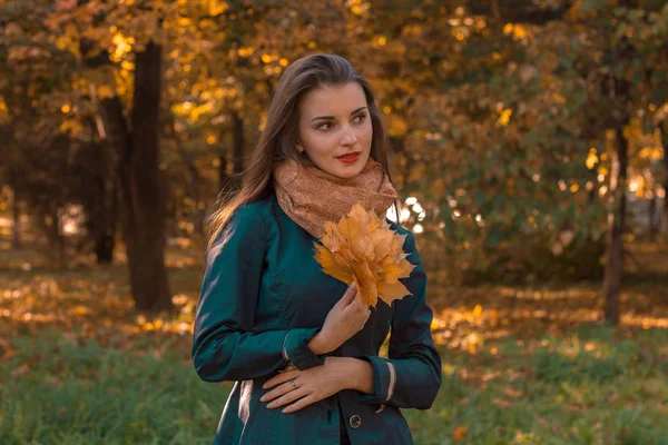 Süßes Mädchen steht im Herbstpark und hält das Laub in der Hand — Stockfoto