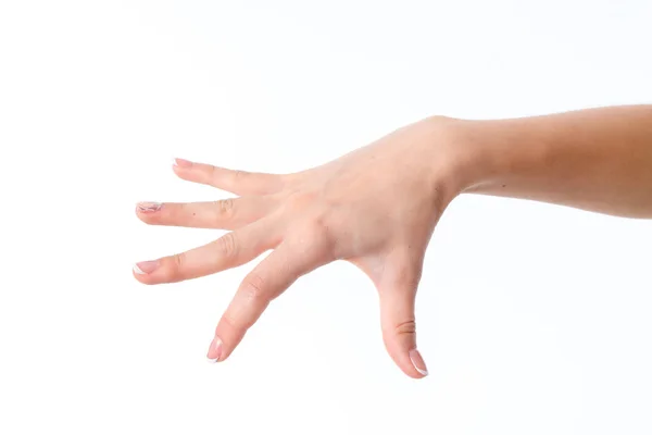 Женская рука протянута в сторону с развернутыми вниз ладонями и пальцами, расположенными на белом фоне — стоковое фото