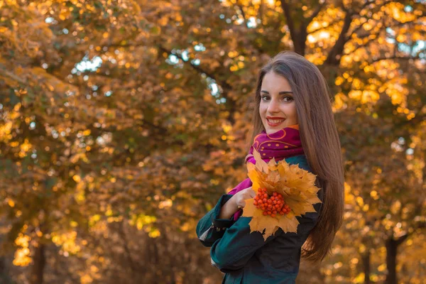 年轻漂亮的女孩站在秋天的树木和微笑的背景 — 图库照片