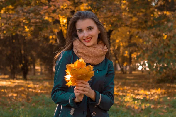 Söt flicka i parken håller bladen i sina händer och leenden — Stockfoto