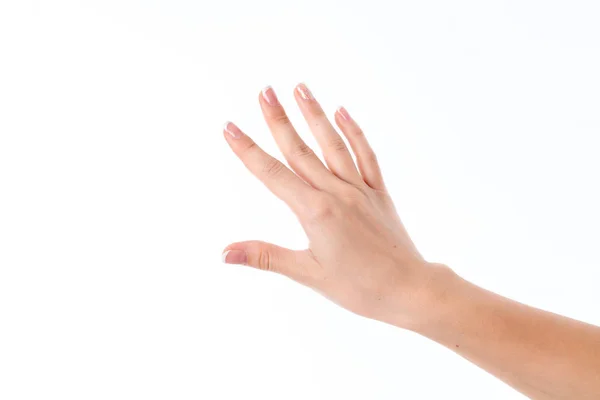 Mão feminina esticada na distância com os dedos é isolado em um fundo branco — Fotografia de Stock