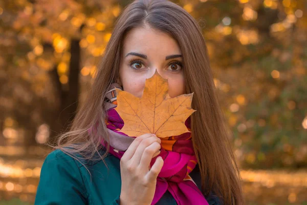 Portret pięknej dziewczyny, która utrzymuje suche liście w pobliżu osoby w parku — Zdjęcie stockowe