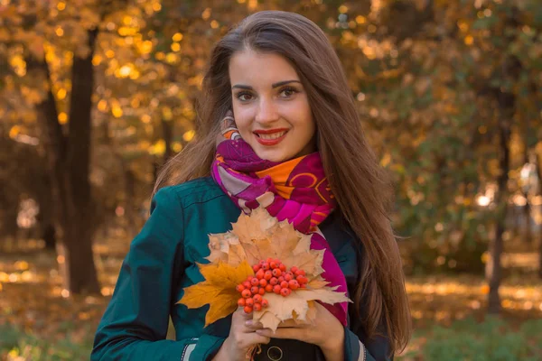 Doce menina fica na rua e detém um Rowan folhas — Fotografia de Stock