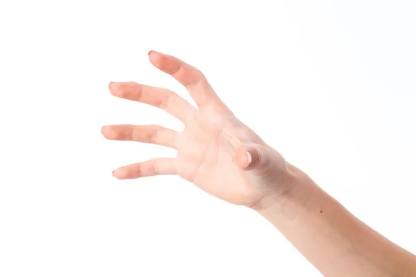 Female hand stretched up and showing the gesture with the fingers is isolated on a white background — Stock Photo, Image