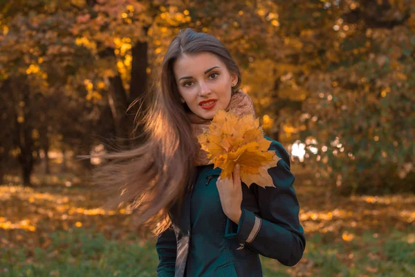 Jovem está no parque e mantém as folhas de outono na mão — Fotografia de Stock