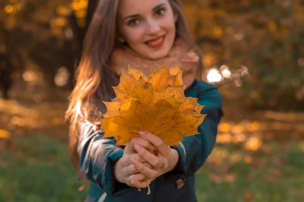 Hermosa chica se extiende por delante de las hojas de otoño y sonríe en krupnyy plan —  Fotos de Stock