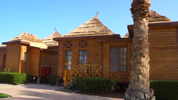 Небольшие деревянные домики и пальмы — стоковое видео