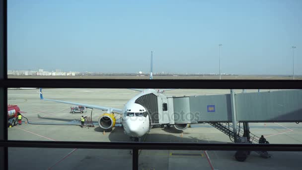 Aterrizaje ocurre en el aeropuerto personas en avión — Vídeo de stock