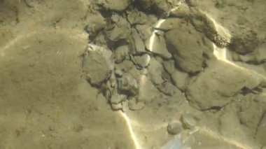 kayalar ve Deniz dibinde görebilirsiniz üzerinden su