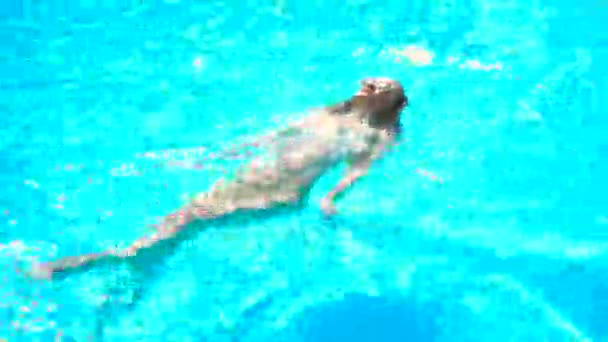 Jovencita en gafas flotando sobre su espalda en una piscina azul — Vídeo de stock