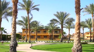 Palmiye ağaçları ve küçük evler Park