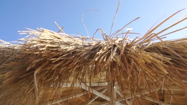 Strohsonnenschirm an einem strahlend sonnigen Tag — Stockvideo