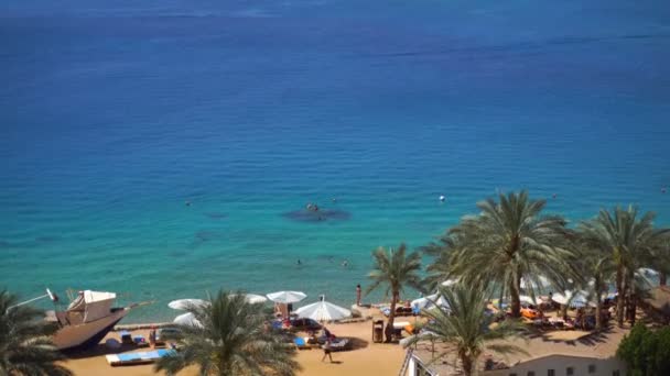 Beautiful view of the big blue clean sea and sandy beach with bungalows and palm trees — Stock Video