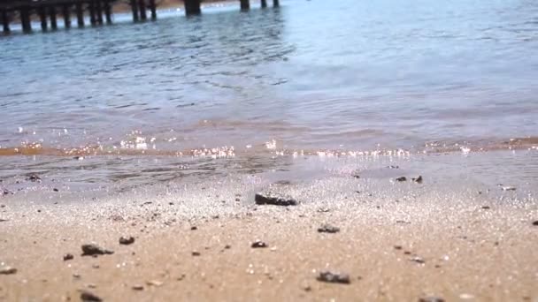 Las piernas de una joven que camina sobre arena mojada con olas marinas en cámara lenta — Vídeos de Stock