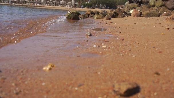 若い女の子がスローモーションで海の波の横に濡れた砂浜のビーチに行く — ストック動画