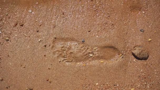 Chica camina sobre arena mojada dejando rastros de primer plano — Vídeos de Stock