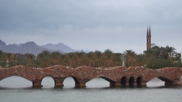 Kamienny most palm tle drzew i gór — Wideo stockowe