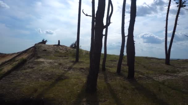 Mädchen rennt auf die Spitze des Hügels — Stockvideo