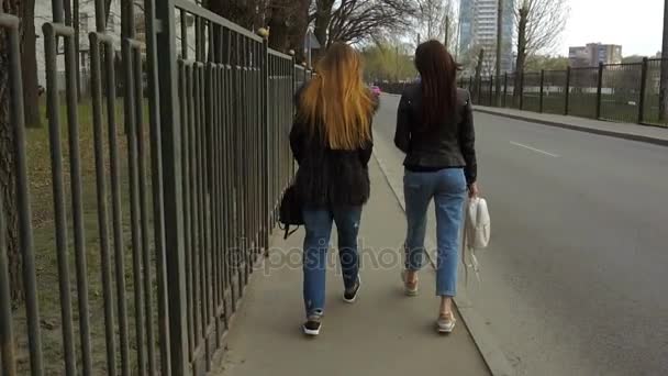 Två vackra flickor gå längs vägen — Stockvideo
