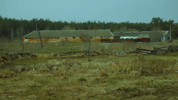 Vista del campo — Vídeo de stock