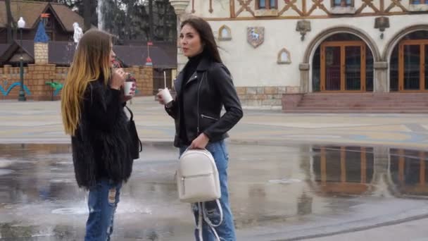 Senhoras bonitos no parque falando — Vídeo de Stock