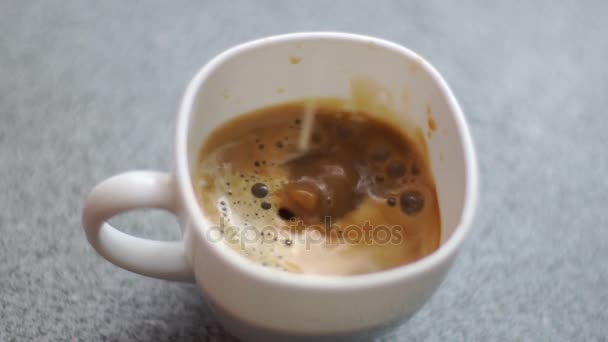 Milk pours into the coffee — Stock Video