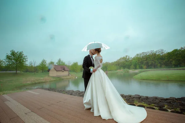 Αίγλη νέοι merried ζευγάρι φιλιέται κάτω από την ομπρέλα — Φωτογραφία Αρχείου