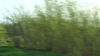 Yeşil alanlar ve ağaçlar yol görünümünü