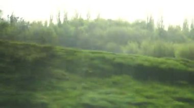 Yeşil alanlar ve ağaçlar yol görünümünü