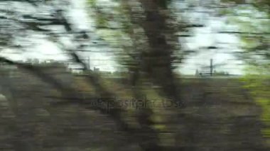 Yeşil alanlar ve ağaçlar yol görünümünü